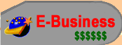 Welcome to my E-business pages